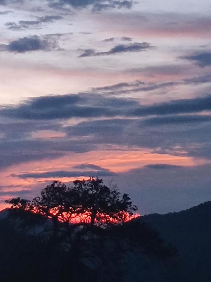 Chateau De Tatli - Hilltop - 德拉敦 外观 照片