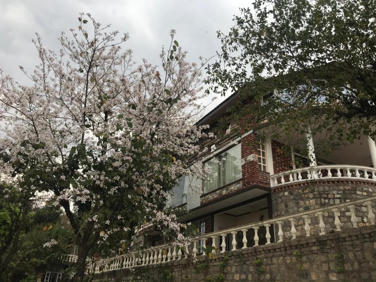 Chateau De Tatli - Hilltop - 德拉敦 外观 照片